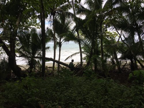 Nacionalni park Corcovado, Kostarika (foto: Martina Hrupić)