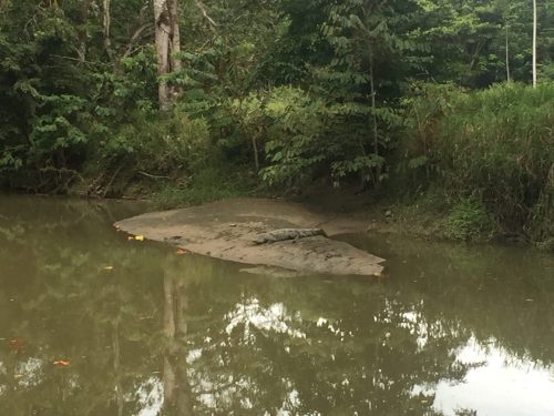 Kotarika, okolica nacionalnog parka Corcovado (foto: Martina Hrupić)