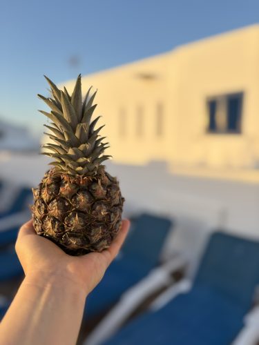 Ananas na otoku Lanzarote